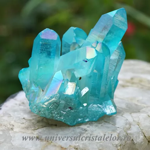 Aqua aura cluster