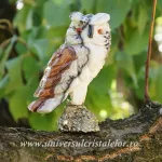 Figurina aragonit bufnita m5