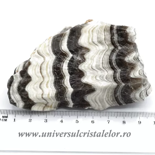 Aragonit zebrat mineral unicat m3