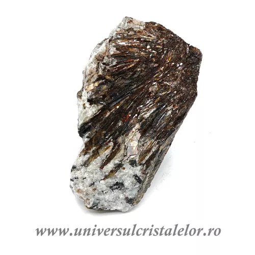 Astrofilit Astrofilit