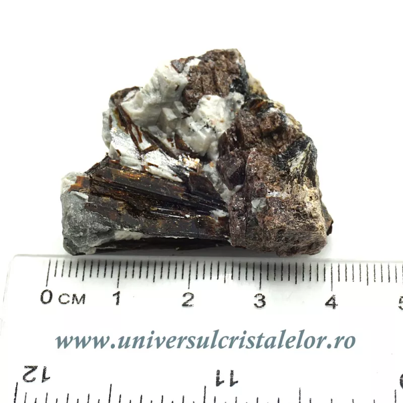 Astrofilit Astrofilit