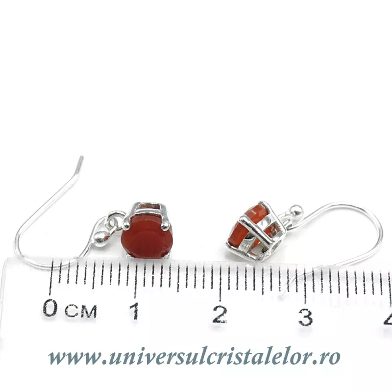 Cercei carneol rotund fatetat - 6 mm Cercei carneol rotund fatetat - 6 mm
