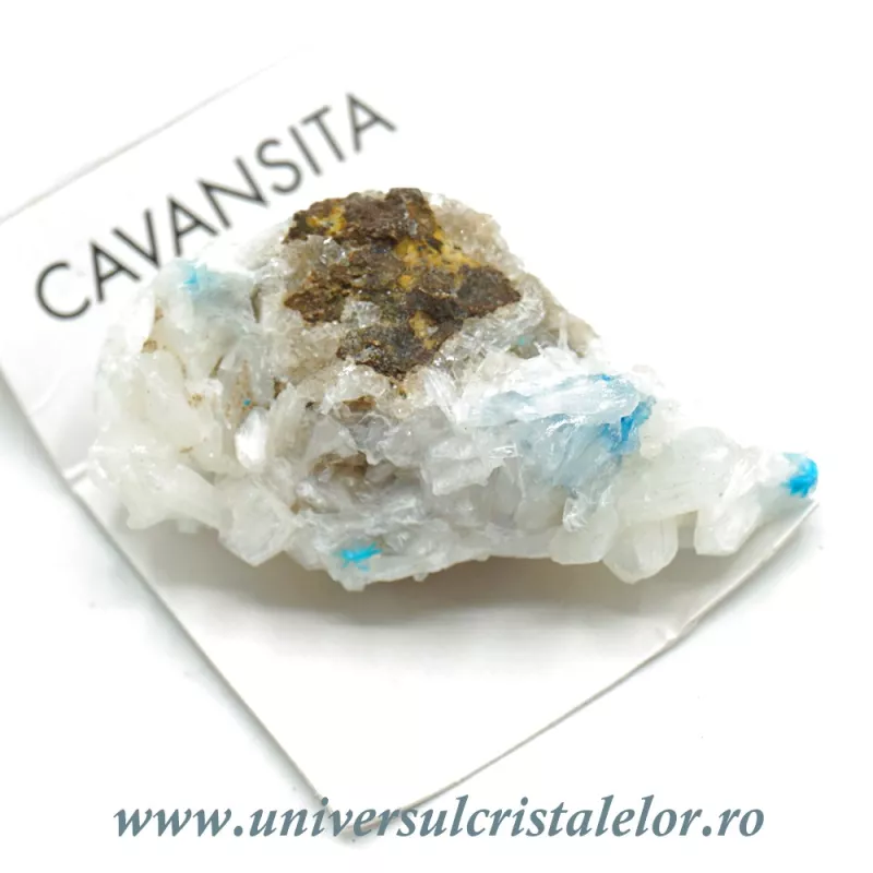 Cavansit Cavansit