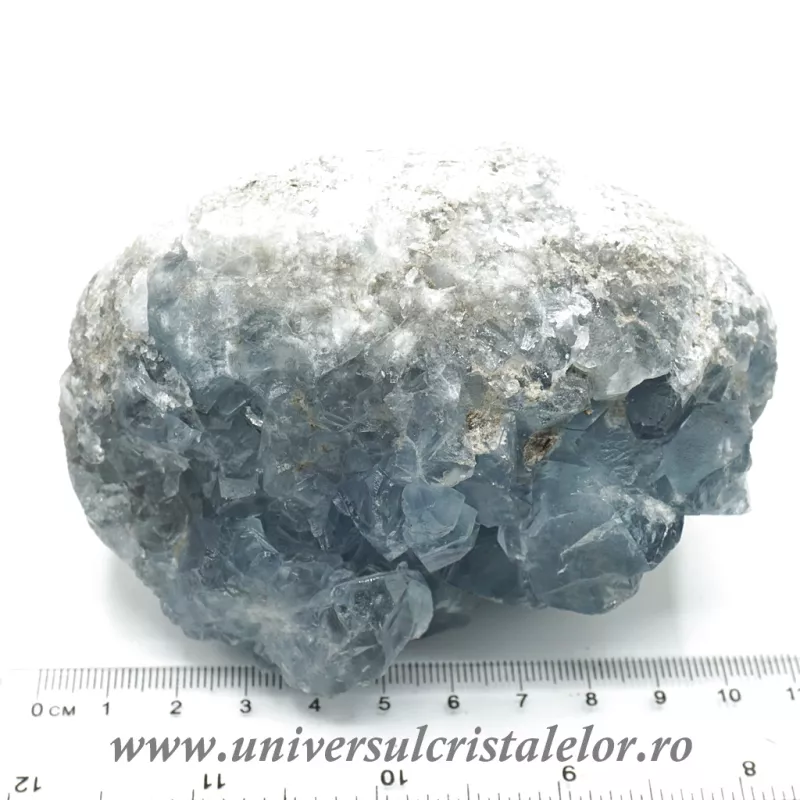 Celestina Celestina