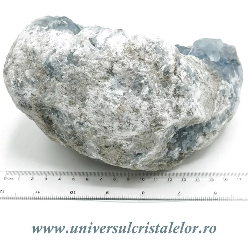 Celestina Celestina
