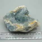 Celestina Celestina