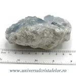 Celestina Celestina