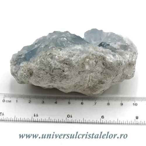 Celestina Celestina