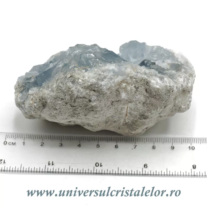 Celestina Celestina