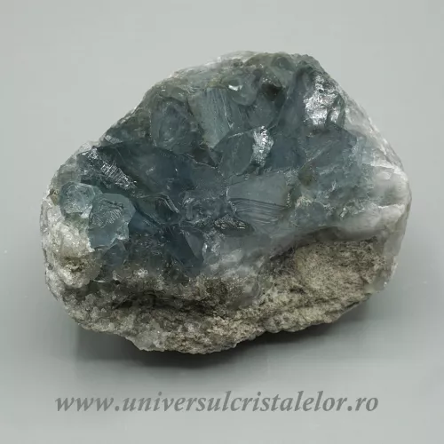 Celestina  Celestina