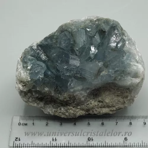 Celestina  Celestina