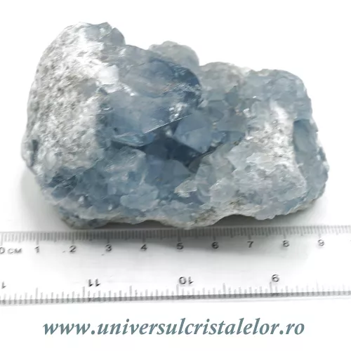 Celestina Celestina