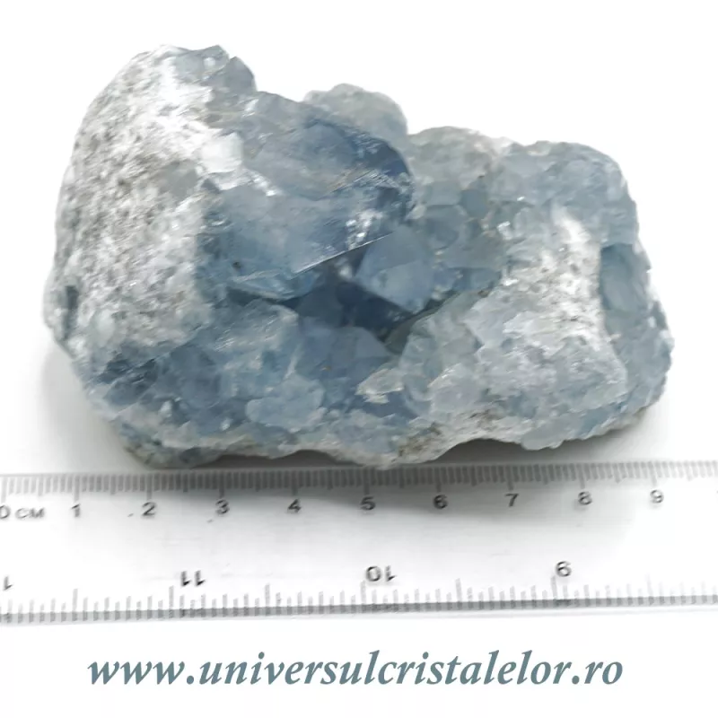 Celestina Celestina
