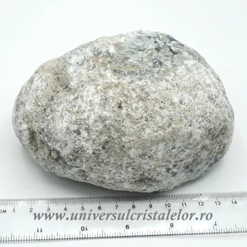 Celestina Celestina
