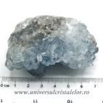 Celestina Celestina
