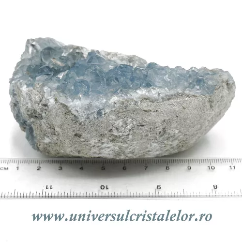 Celestina Celestina