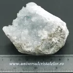 Celestina Celestina