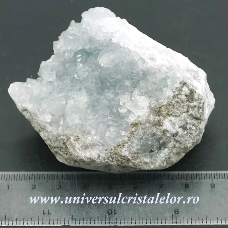 Celestina Celestina