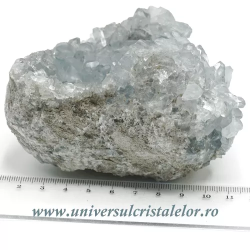 Celestina Celestina