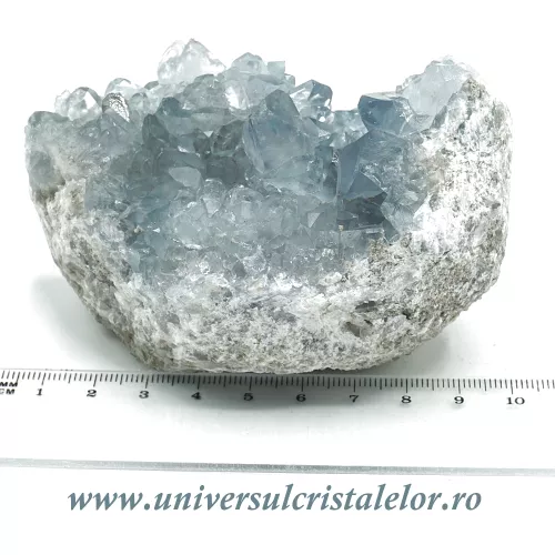 Celestina Celestina