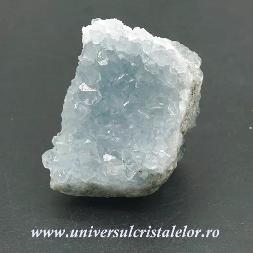 Celestina Celestina