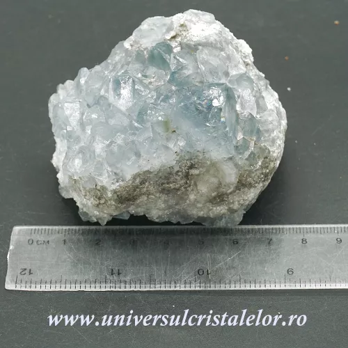 Celestina Celestina