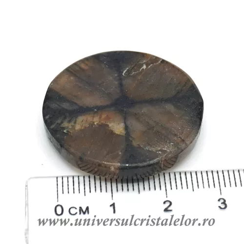 Cabochon chiastolit Cabochon chiastolit