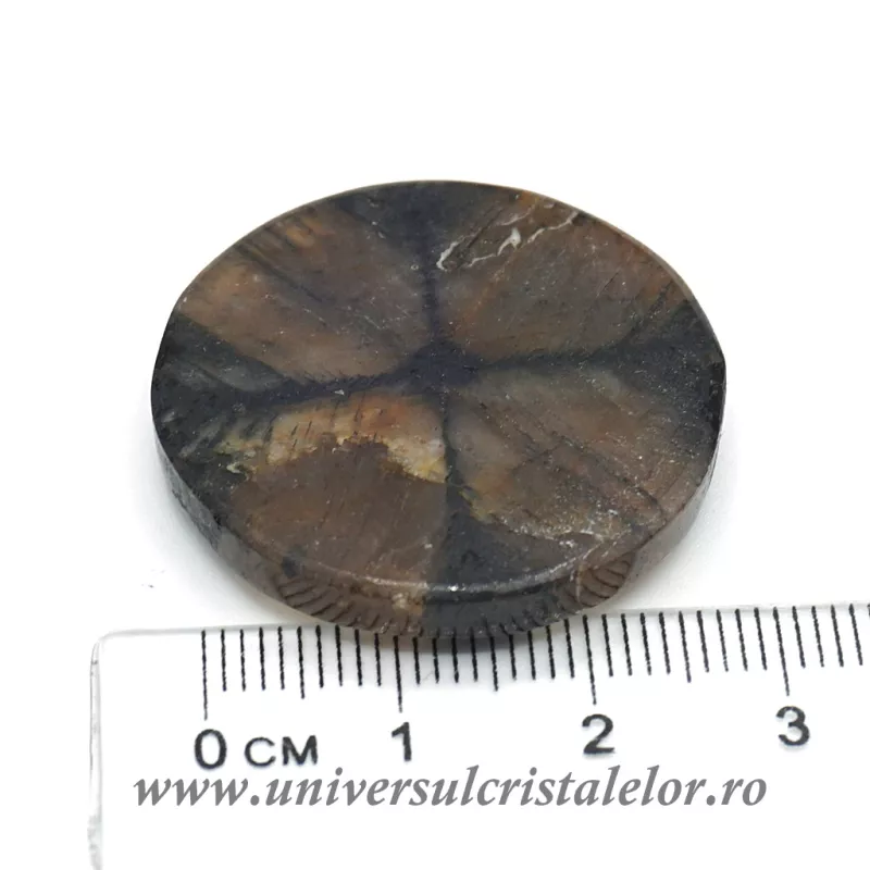 Cabochon chiastolit Cabochon chiastolit