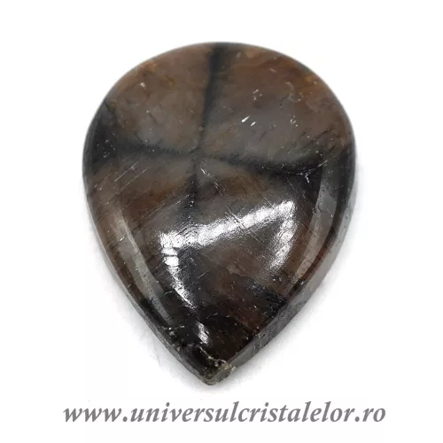 Cabochon chiastolit