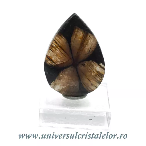 Cabochon chiastolit Cabochon chiastolit