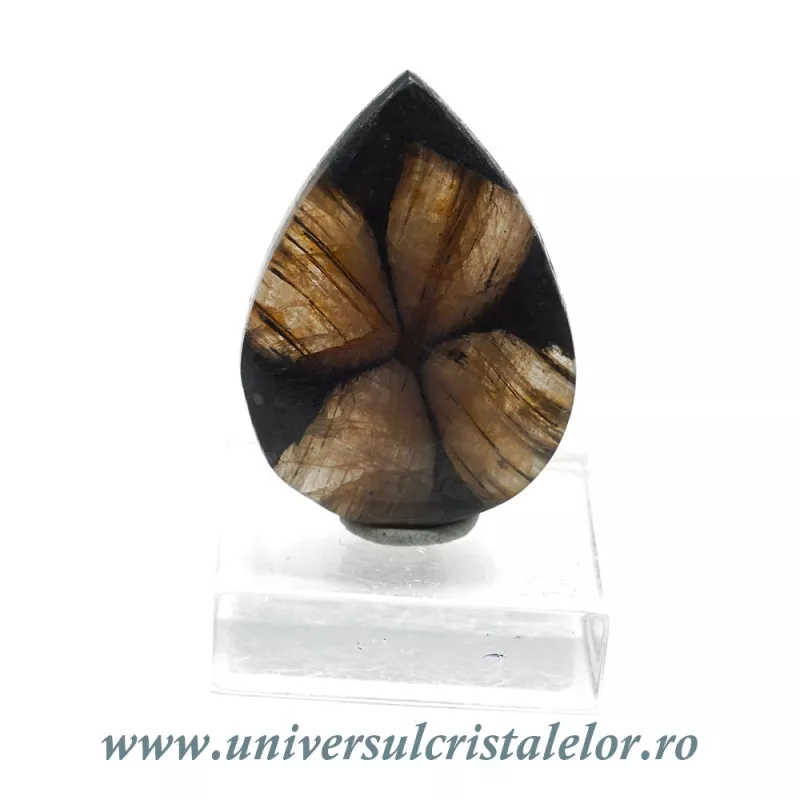 Cabochon chiastolit Cabochon chiastolit