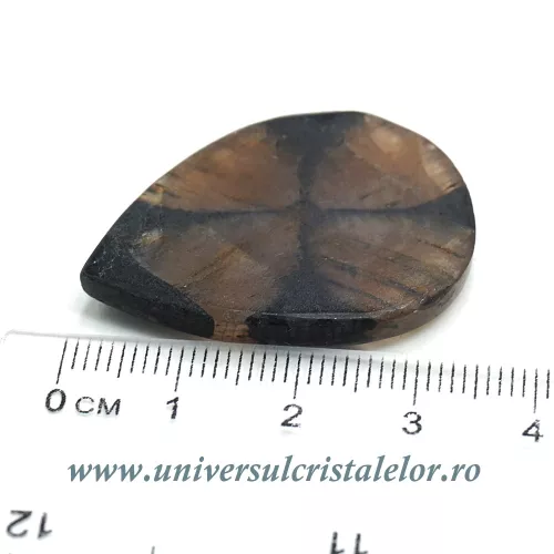 Cabochon chiastolit Cabochon chiastolit