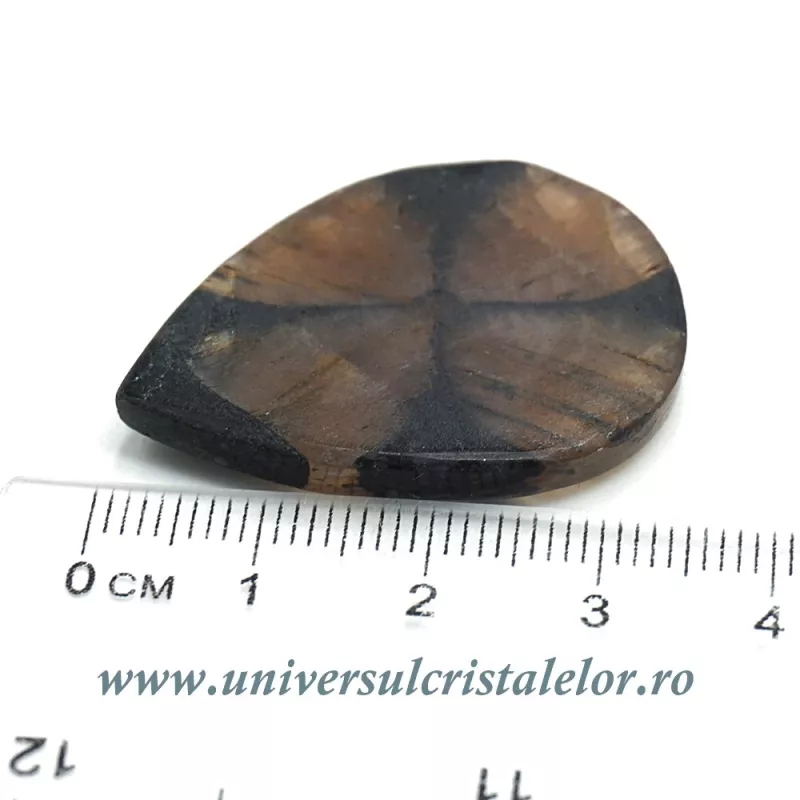 Cabochon chiastolit Cabochon chiastolit