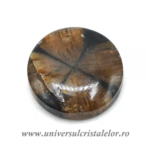 Cabochon chiastolit