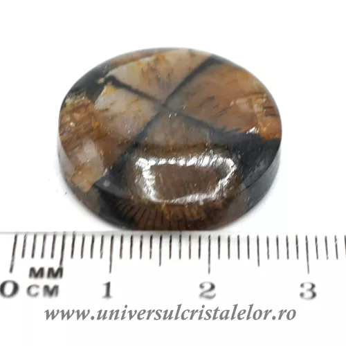 Cabochon chiastolit