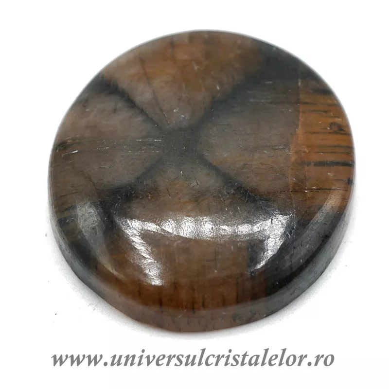 Cabochon chiastolit