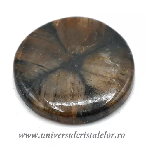 Cabochon chiastolit