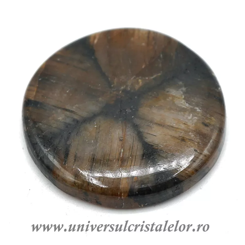 Cabochon chiastolit