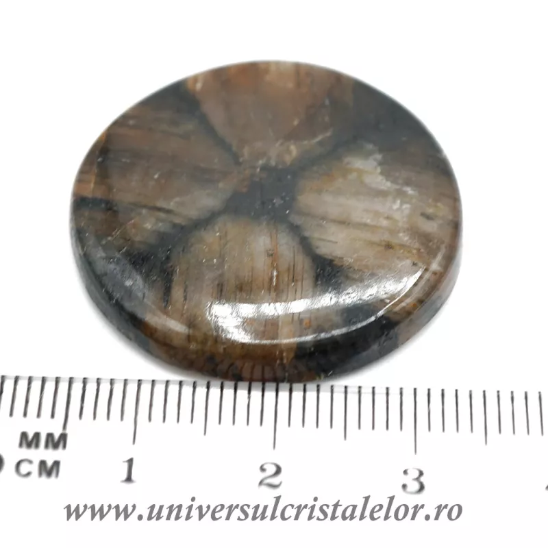 Cabochon chiastolit