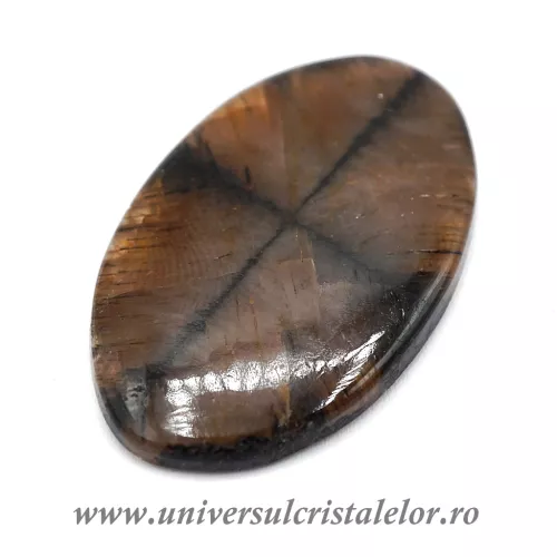 Cabochon chiastolit