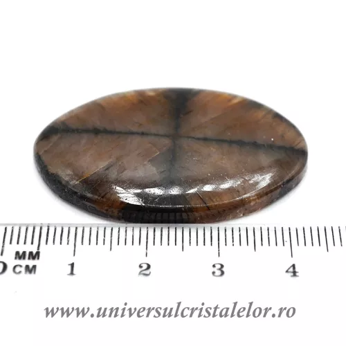Cabochon chiastolit
