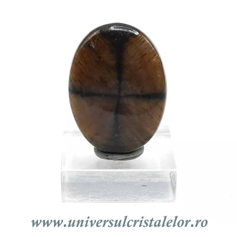 Cabochon chiastolit Cabochon chiastolit