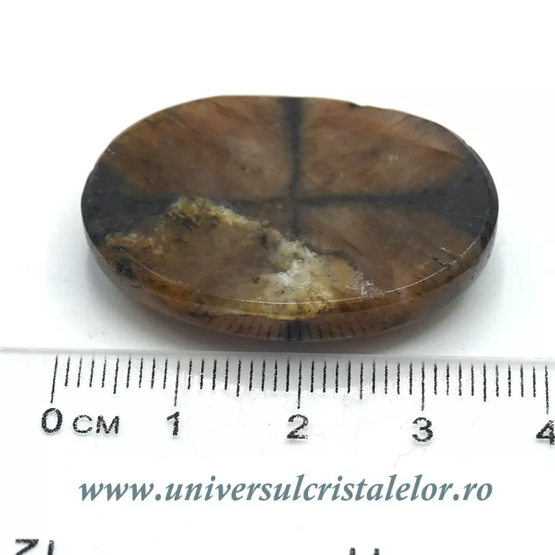 Cabochon chiastolit Cabochon chiastolit