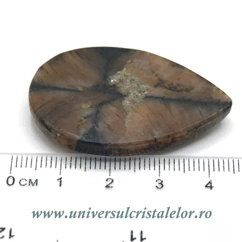 Cabochon chiastolit Cabochon chiastolit