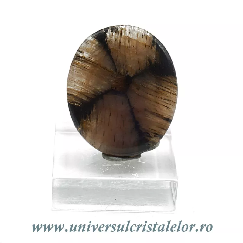 Cabochon chiastolit Cabochon chiastolit