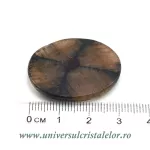 Cabochon chiastolit Cabochon chiastolit
