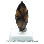 Cabochon chiastolit Cabochon chiastolit