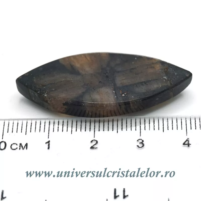 Cabochon chiastolit Cabochon chiastolit