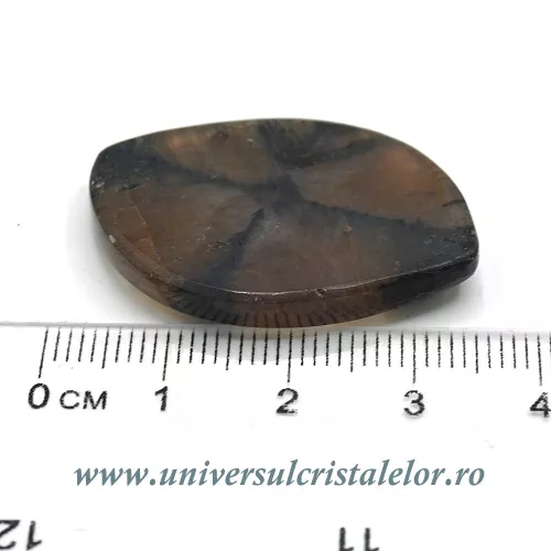 Cabochon chiastolit Cabochon chiastolit