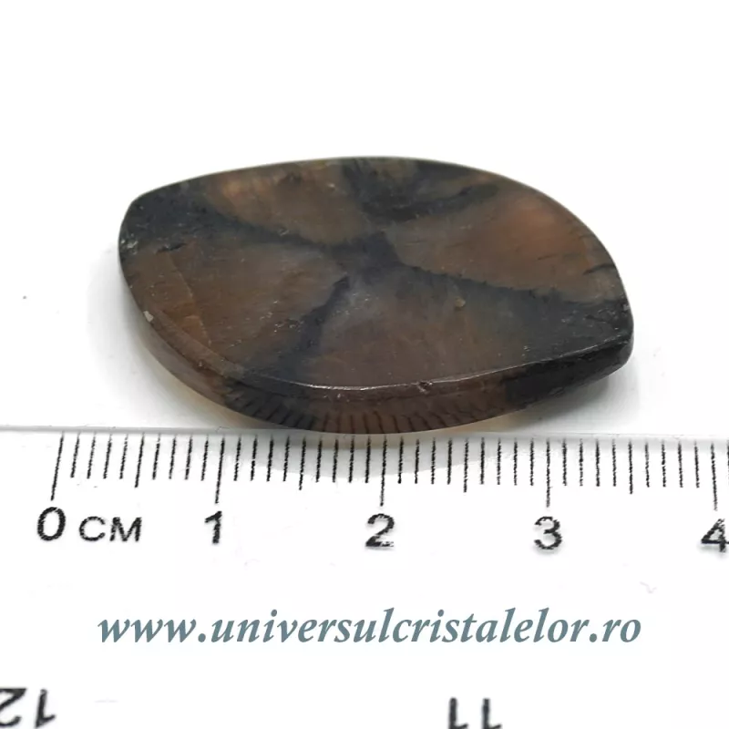 Cabochon chiastolit Cabochon chiastolit